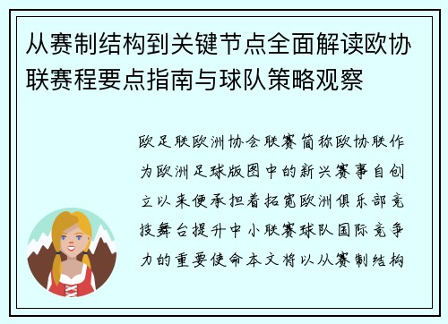 从赛制结构到关键节点全面解读欧协联赛程要点指南与球队策略观察